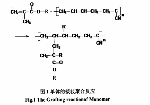 單體的接枝聚合反應 單體的接枝聚合反應